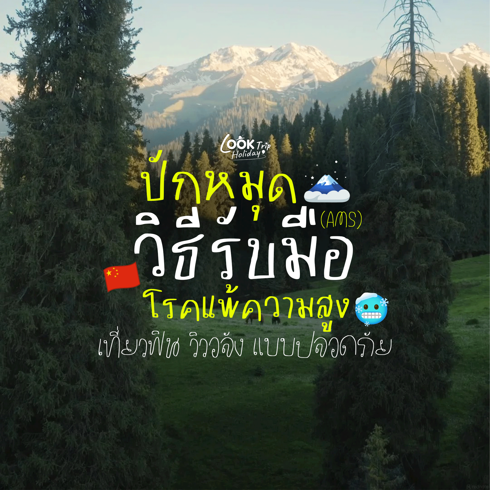 ปักหมุดจีนสายเขา! วิธีรับมือโรคแพ้ความสูง (AMS) เที่ยวฟิน วิวอลัง แบบปลอดภัย 🏔️🇨🇳✨