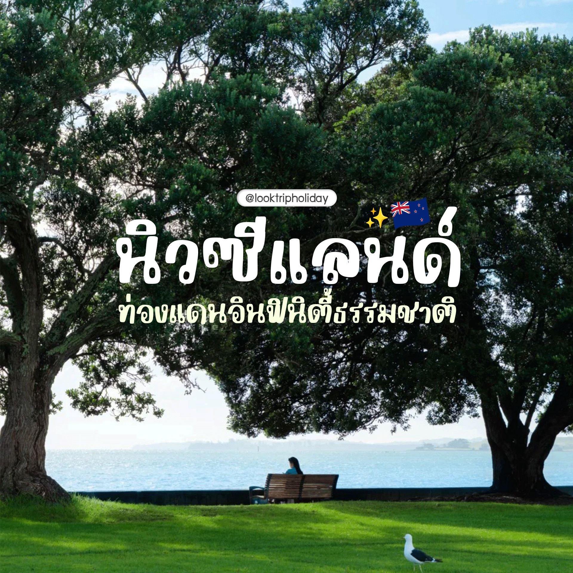 🇳🇿 นิวซีแลนด์ ท่องแดนอินฟินิตี้ธรรมชาติ มหัศจรรย์สวรรค์บนดินระดับโปสการ์ดแห่งซีกโลกใต้!