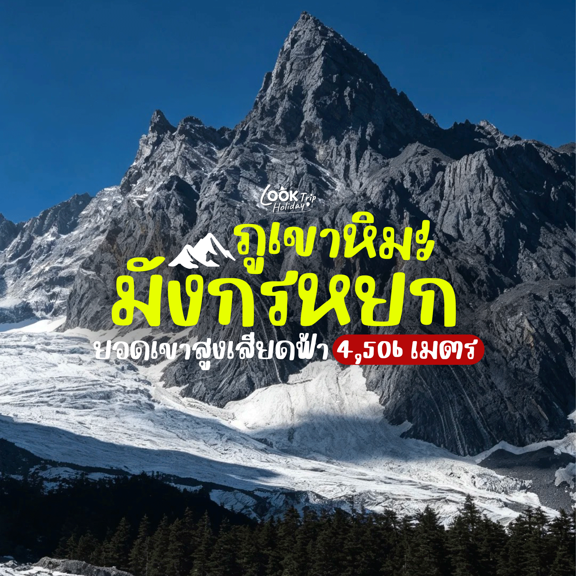 🏔️ ภูเขาหิมะมังกรหยก ลี่เจียง พิชิตยอดเขาสูงเสียดฟ้า 4,506 เมตร สัมผัสธารน้ำแข็งและสวรรค์บนดิน