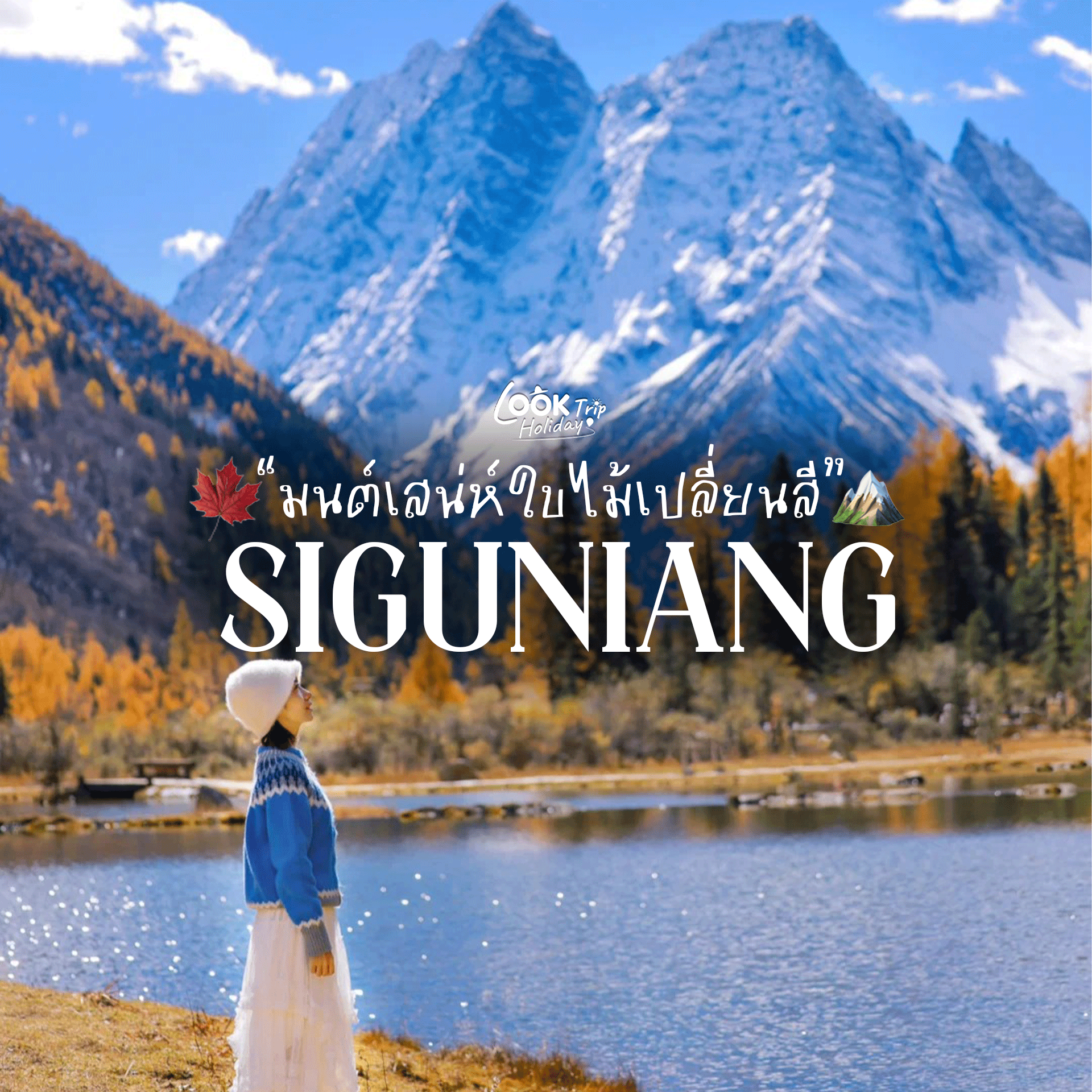 🍁 ภูเขาสี่ดรุณี (Mount Siguniang) มนต์เสน่ห์ใบไม้เปลี่ยนสี เกลื่อนผืนป่าแห่งสวรรค์เสฉวน