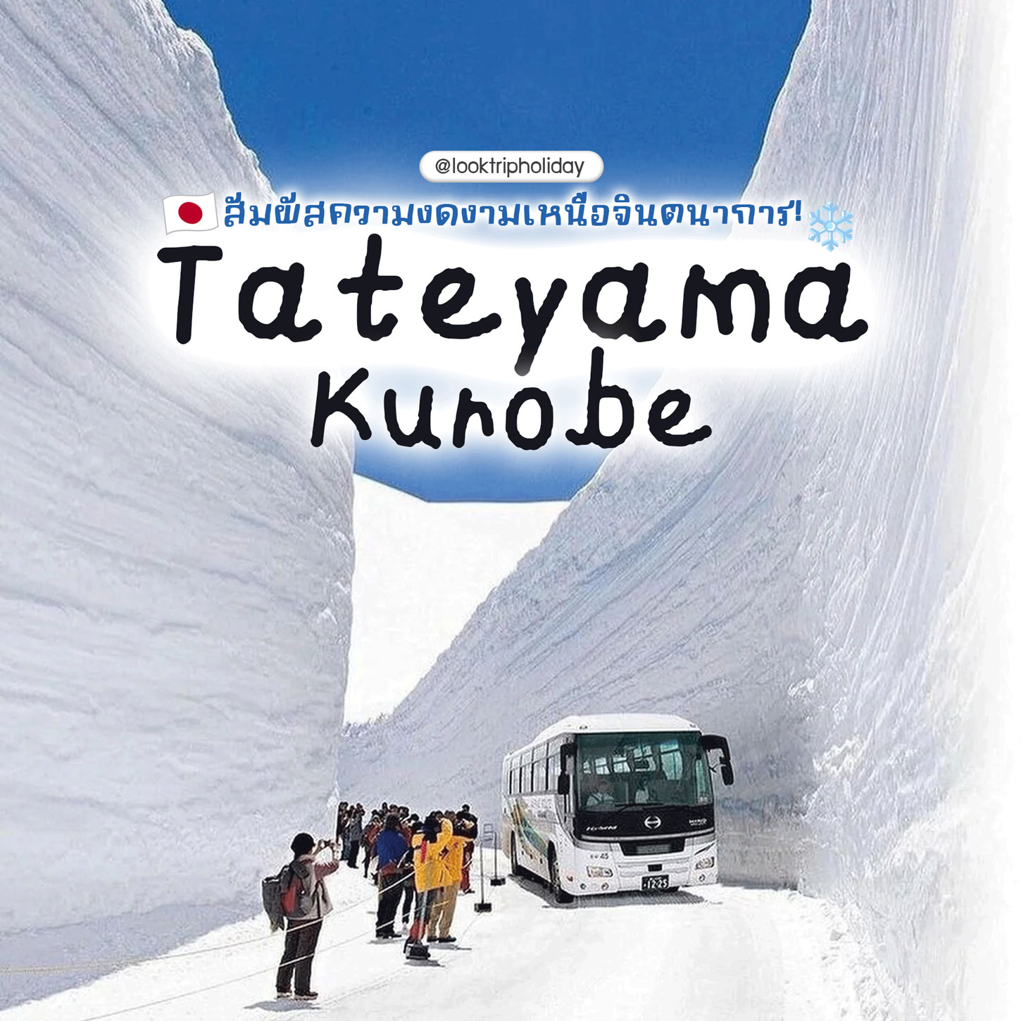 ❄️ สัมผัสความงดงามเหนือจินตนาการ! เจาะ 4 พิกัดธรรมชาติระดับมรดกโลก ณ Tateyama Kurobe 🇯🇵🏔️