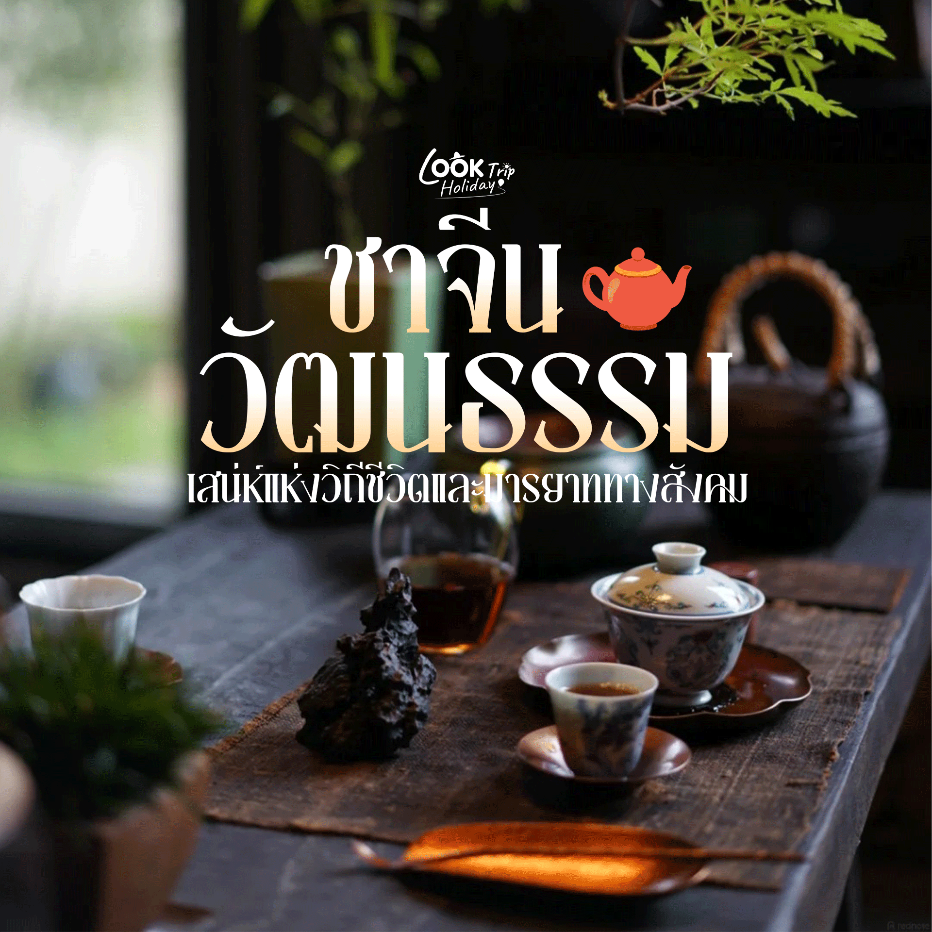 🍵 วัฒนธรรมชาจีน ถอดรหัสศิลปะถ้วยชา เสน่ห์แห่งวิถีชีวิตและมารยาททางสังคมที่สายเดินทางต้องรู้!
