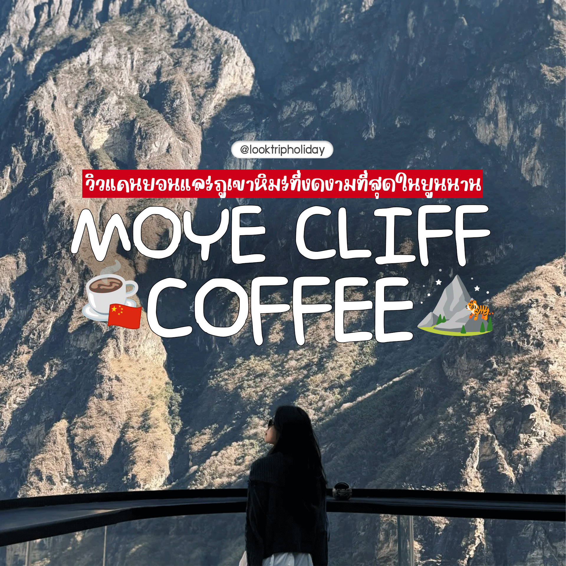 ☕ ปักหมุดคาเฟ่แขวนริมผา วิวแคนยอนและภูเขาหิมะที่งดงามที่สุดในยูนนาน 🇨🇳🏔️✨