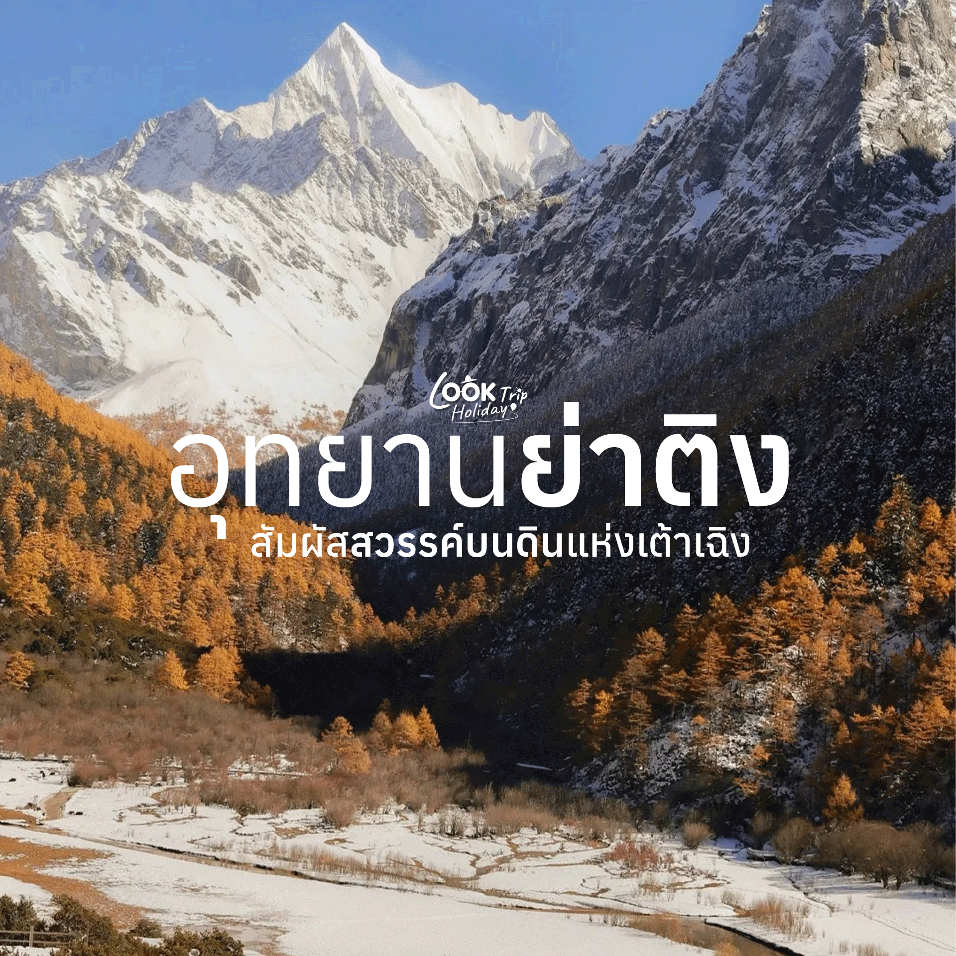 🏔️ อุทยานธรรมชาติย่าติง สัมผัสสวรรค์บนดินแห่งเต้าเฉิง ดินแดนแชงกรีลาแท้จริงทางตะวันตกของเสฉวน!