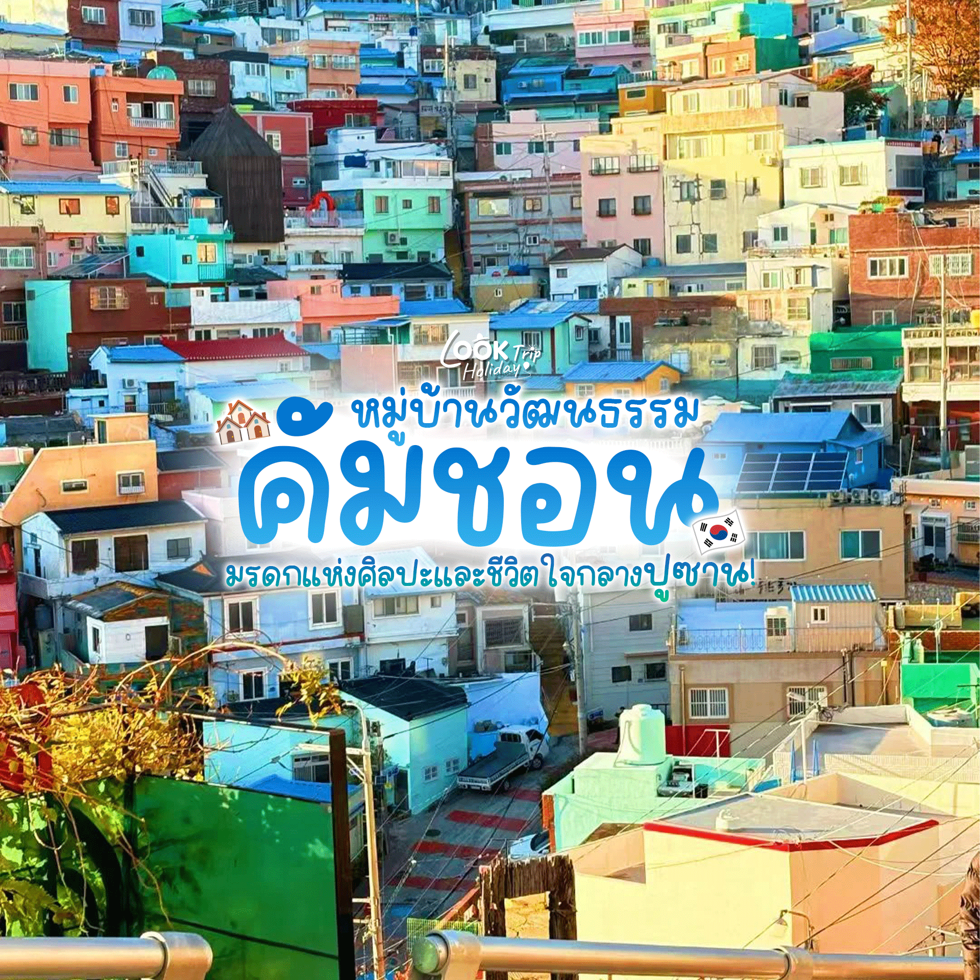 🎨 หมู่บ้านวัฒนธรรมคัมชอน (Gamcheon Culture Village) มหัศจรรย์เขาวงกตสีพาสเทล มรดกแห่งศิลปะและชีวิตใ