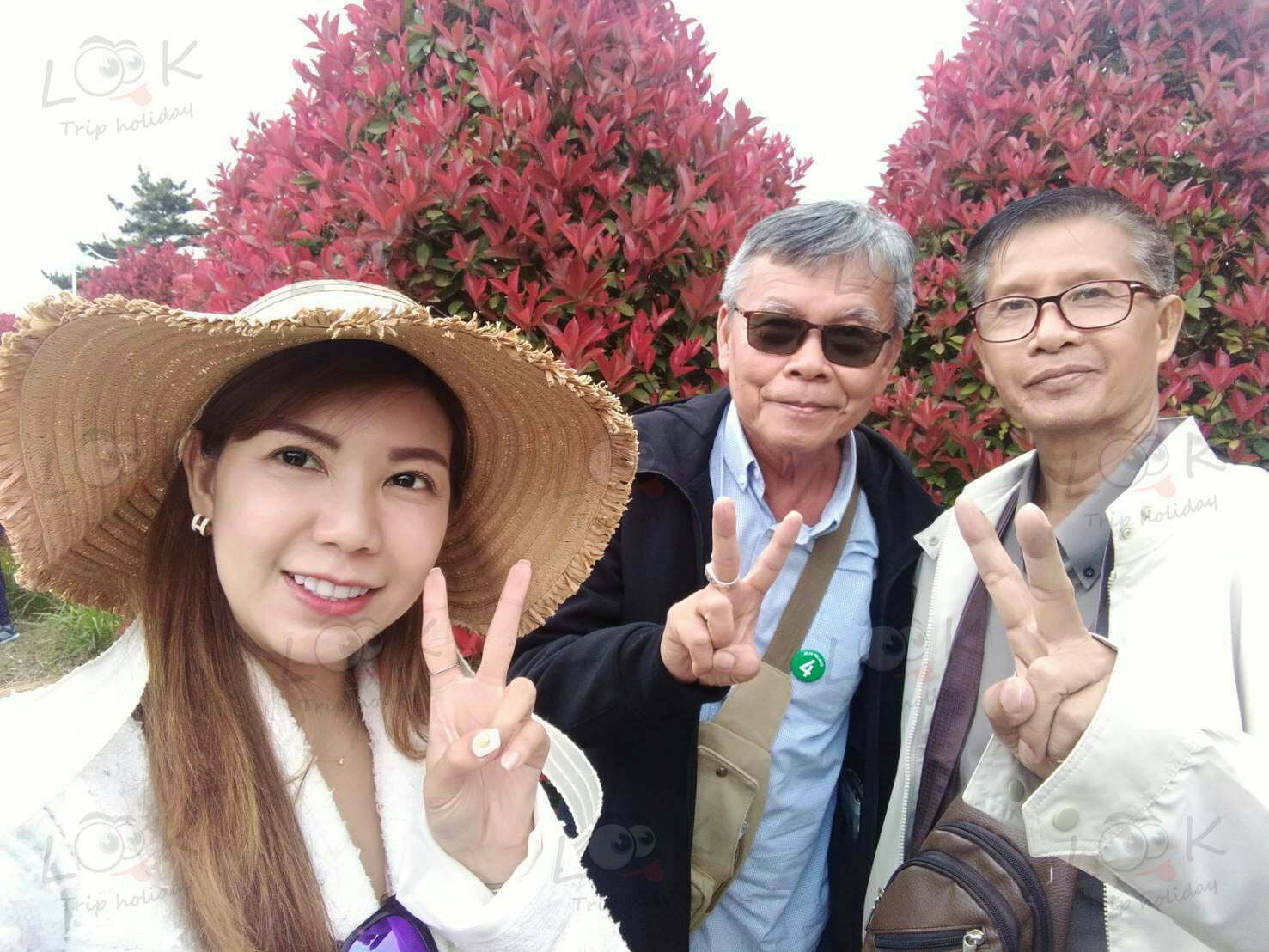 เกาหลี เกาะเจจู เดินทาง 13-16 พ.ค. 62