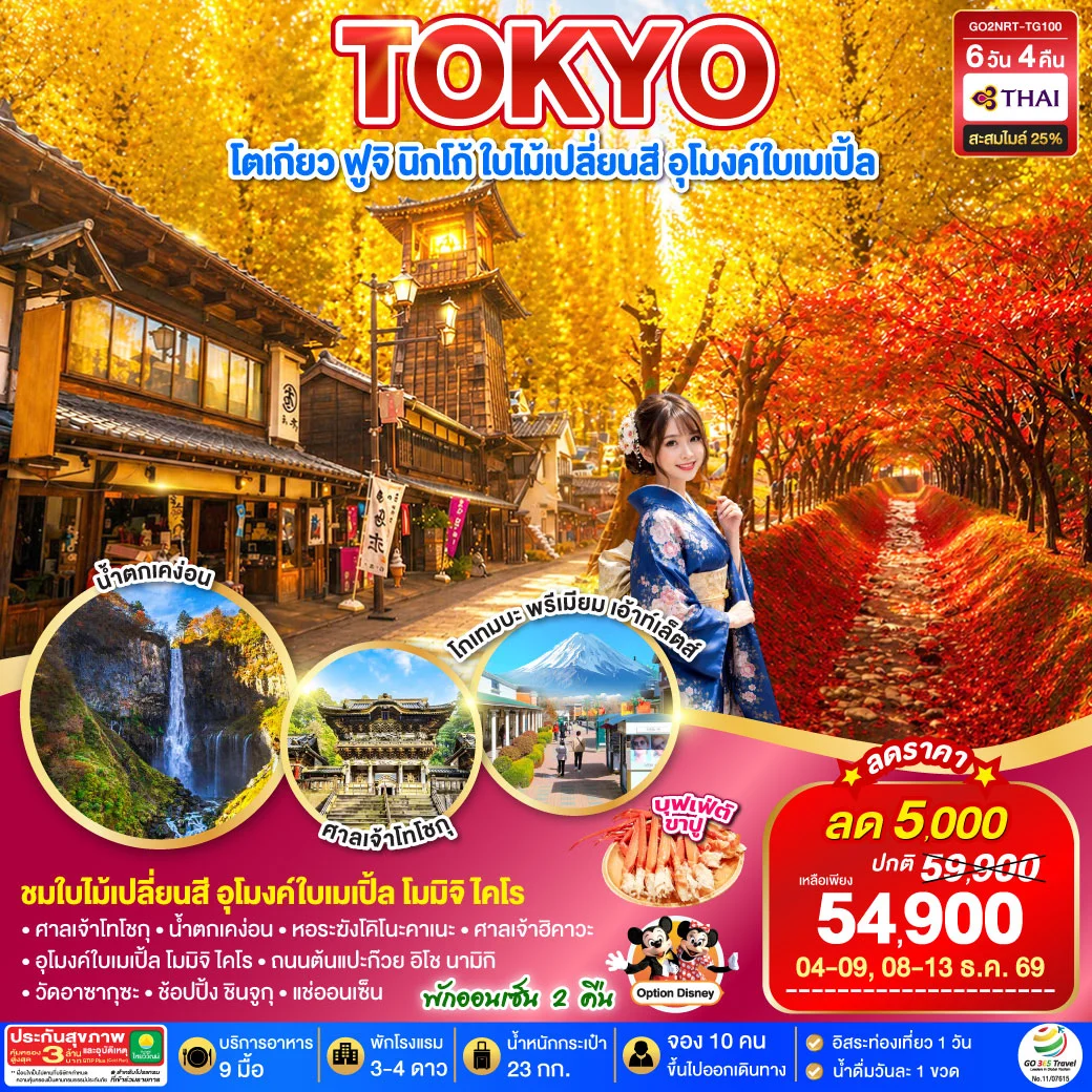 ทัวร์ญี่ปุ่น TOKYO FUJI NIKKO MOMIJI AUTUMN 6วัน 4คืน (TG)