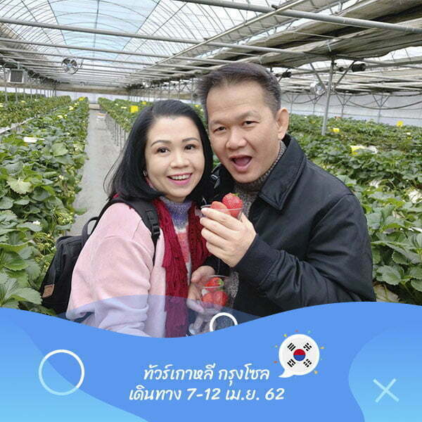 เกาหลี กรุงโซล เดินทาง 7-12 เม.ย. 62