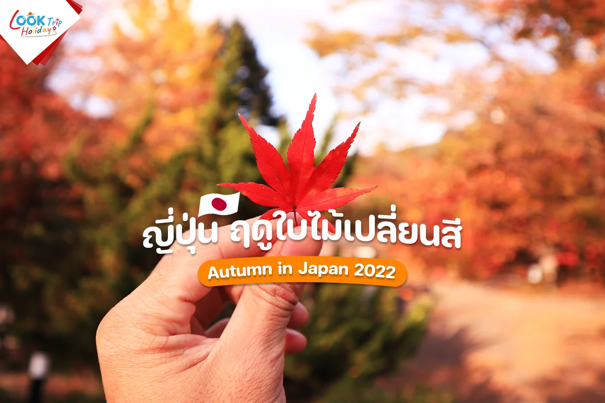 ฤดูใบไม้เปลี่ยนสี ญี่ปุ่น ปี 2022 Autumn in Japan 2022 ที่ใครๆ ต่างเฝ้ารอ