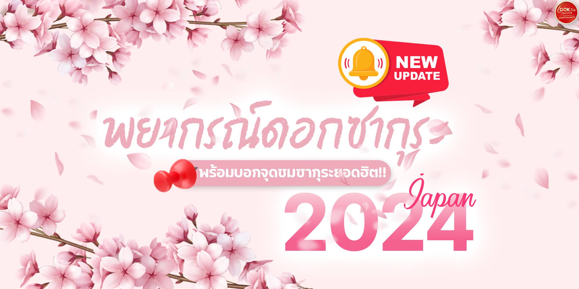 🌸มาแล้ว!! พยากรณ์ดอกซากุระที่ญี่ปุ่น ปี 2024🎌✨